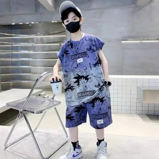 Dragon Ball Z Boys T-Shirt Youth Short Sleeved and Shorts Set Cool Shirt 